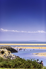 plage à la palmyre