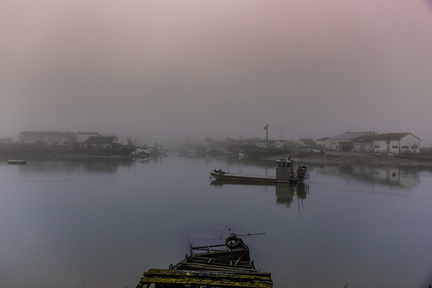 l'éguille dans la brume