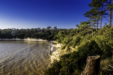 plage de l'arnèche à meschers