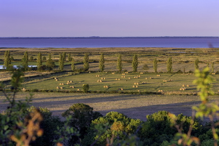 marais de mortagne