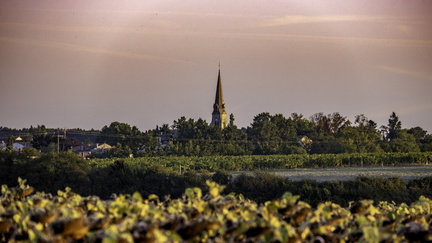 église de mortagne vue de la gravelle