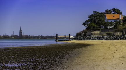 plage de ronce