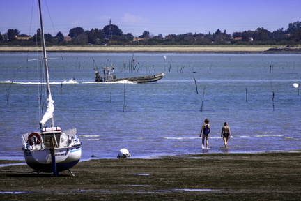 plage de ronce