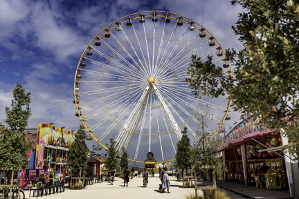 grande roue de ronce