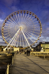 grande roue de ronce