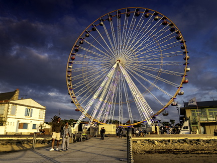 grande roue de ronce