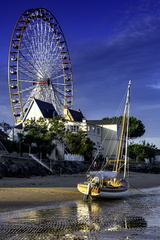 grande roue de ronce
