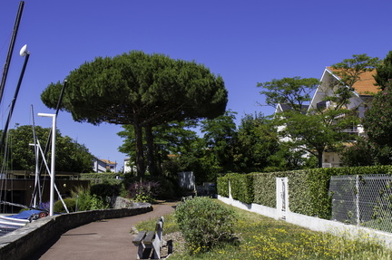 chemin de st-georges