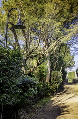 chemin de l'église à vaux