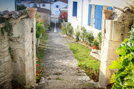 rue d'arces