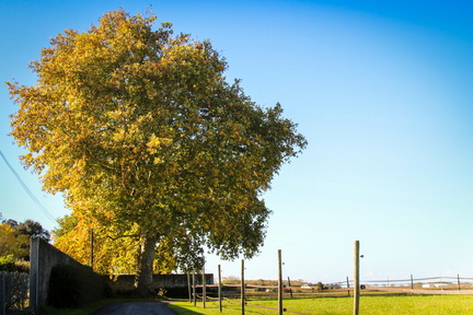 campagne de cozes
