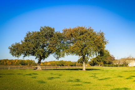 campagne de cozes