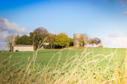 campagne d'épargnes