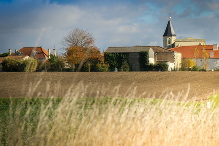 épargnes vu des champs