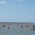 remontée de la seudre 2019