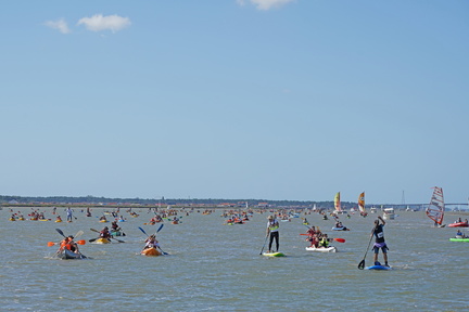 remontée de la seudre 2019