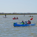 remontée de la seudre 2019