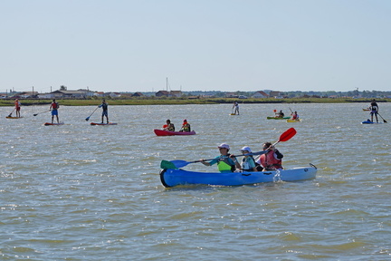 remontée de la seudre 2019