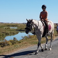 remontée de la seudre 2018